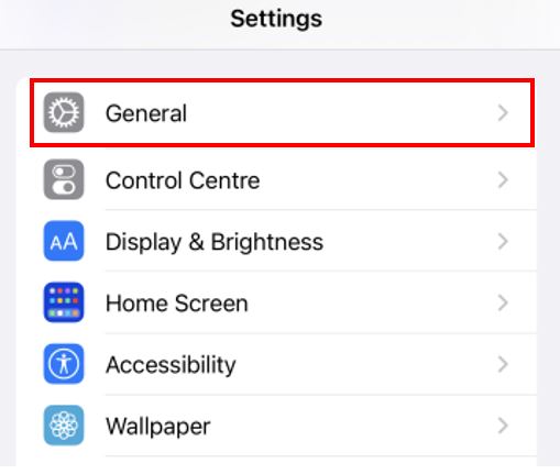 iOS settings display options